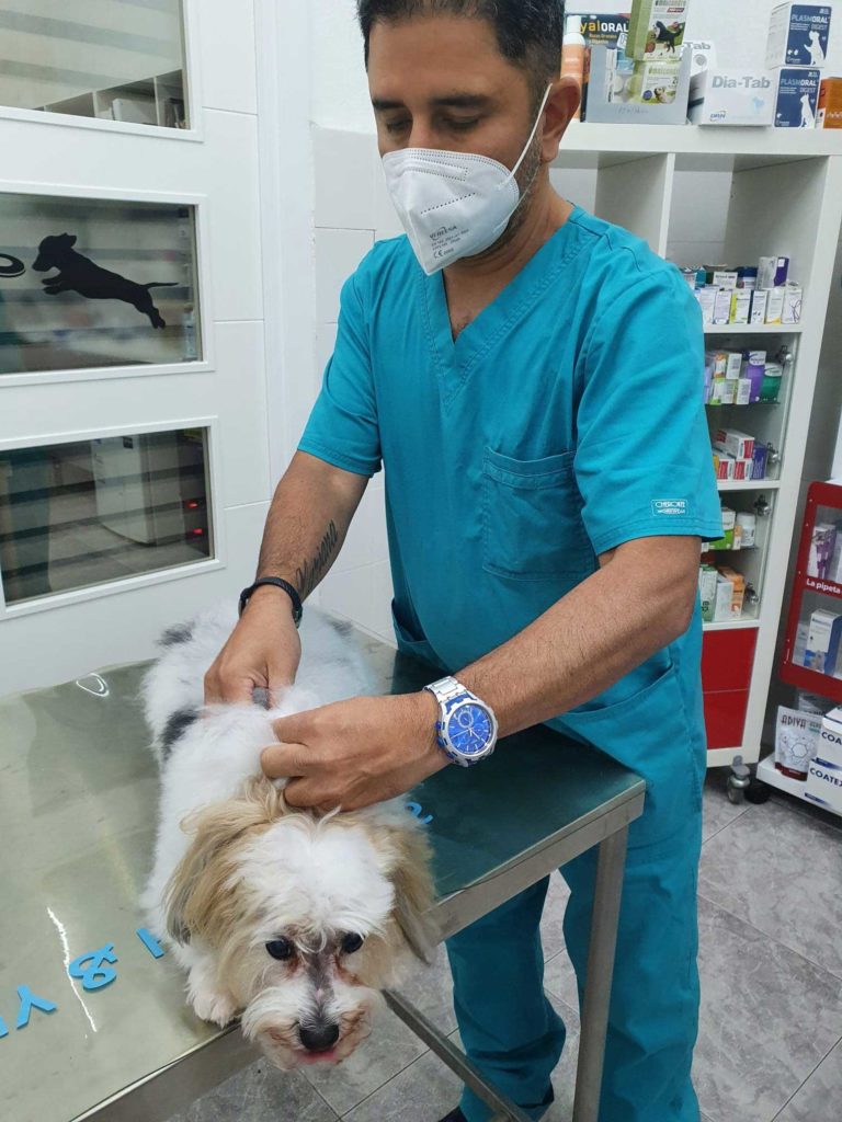 clinica-veterinaria-barcelona-mostoles-consulta-2