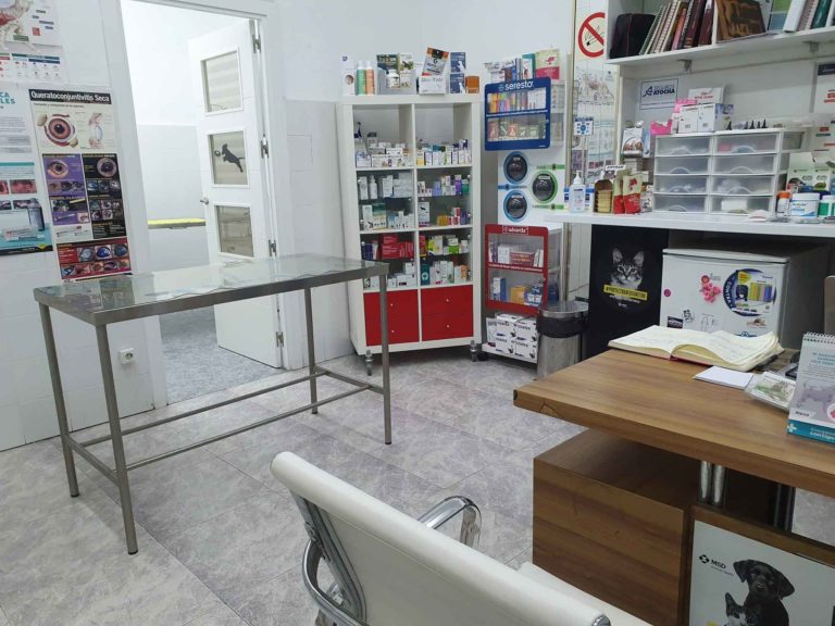 clinica-veterinaria-barcelona-mostoles-despacho